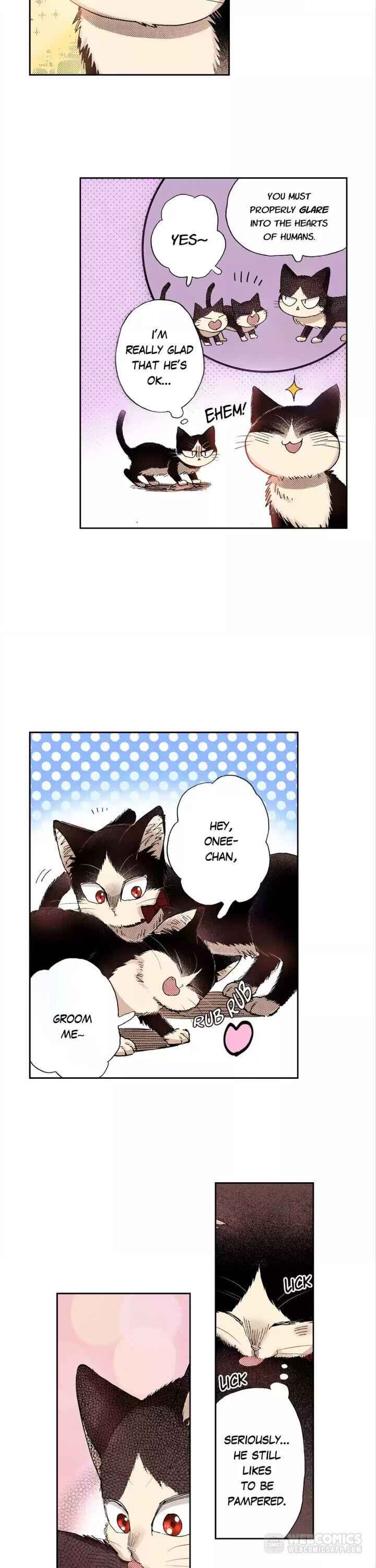 My Roommate Is A Cat Chapter 28 8